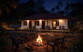 Bluemoon Homestay - Home Food, Estate, Near To Falls And View Points